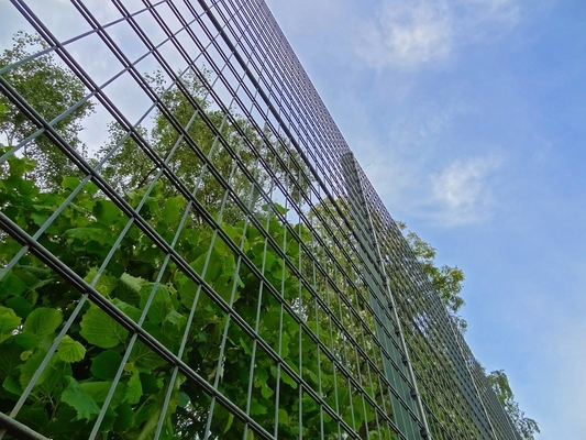 Zuhause Garten 50x100mm Doppeldrahtnetz Zaun Pulver beschichtet