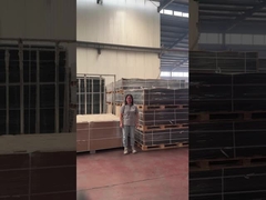 Der Stahl V-geschweißte Maschendrahtzaun bietet den Sicherheitsserver.