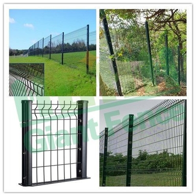Außen 3d gekrümmter PVC beschichtet geschweißtes Gitterzaun für Garten und Bauernhof Schutz 3d Zaun