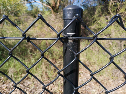 6ft 8ft 5x5 6x6 galvanisierter PVC-beschichteter Kettenverbindungszaun für landwirtschaftliche Zäune