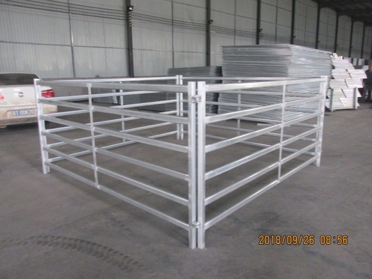 2023 heiße Verkaufsusa 12 ft-Hochleistungsviehbestand-Vieh-Hürden-Zaun-und Pferderunde Pen Panels