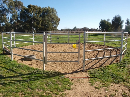 Viehbestand-Zaun-Platten des Zink-Beschichtungs-Stahl-1.6m geschweißt für Bauernhof