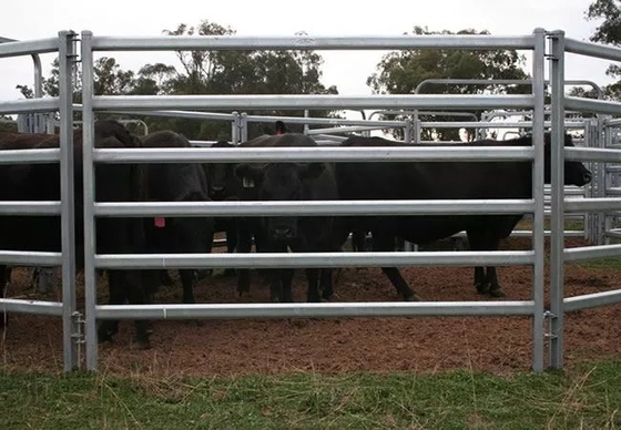 Beschichtetes PVC galvanisierte 12ft Metallvieh täfelt Hochleistungsmetall ringsum Pen Cattle Corral Livestock Farm-Pferdeyard-Zaun