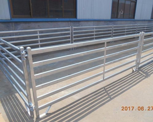 Massenkohlenstoffstahl-1.7m galvanisierter Viehbestand-Zaun Panels, tragbare Ziegen-Platten