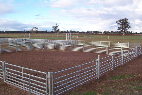 Bauernhof-Viehbestand-Stahlzaun-Panels Galvanized For-Vieh Australiens tragbares