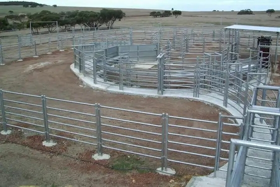 Großhandelspreis 1.6M Galvanized Cattle Panels schweißten Viehbestand-Pferdeschaf-Zaun Panels For Farm