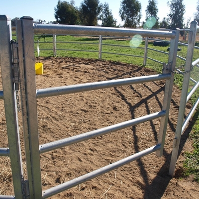 Pferd 2.1m x 1.8m Viehbestand-Zaun Panels Hot Dip galvanisierte Rohr