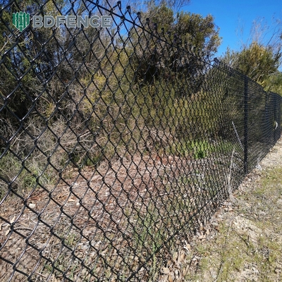 6ft Höhe Diamant Mesh Chain Link Zaun Ideal für Grünen Garten Farm Quadrat Post Typ