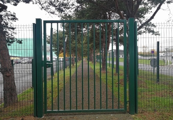 Anpassungsfähiges Stahlzaun Schiebetor für Haus und Garten 5,0 m Breite
