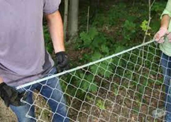Hot Sale Sport Baseballfeld Galvanisierter Diamantkettenzaun