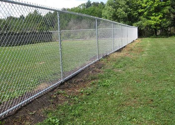 Zoo, der 5mm Draht Diamond Chain Link Fence schützt