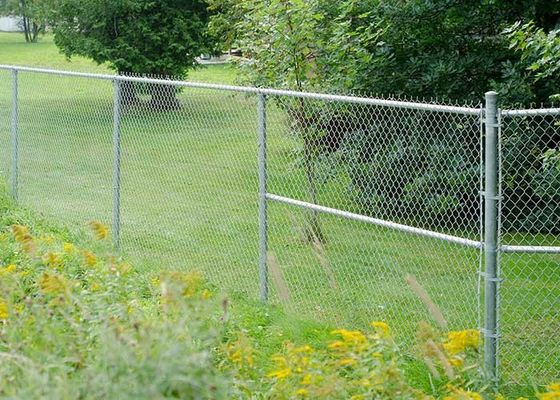 8 Ft Verzinktes PVC Beschichtetes Zyklon Wire Mesh Chain Link Zaun Roll für die Philippinen