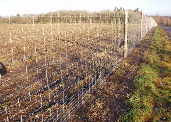 Scharnier-Gelenk-Zaun-Field Fence Galvanized-Bauernhof-Zaun Livestock Fence Panels