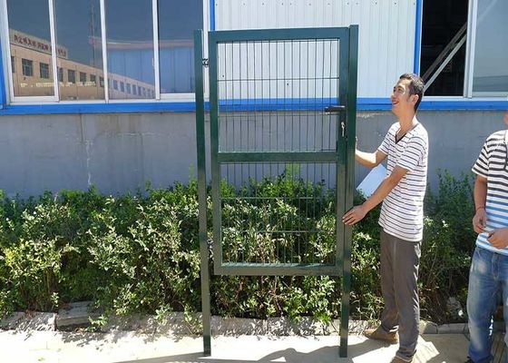Garten Dekoration Niedrig 3D Stahldraht Verzinkter Beschichteter Zaun in Sliver