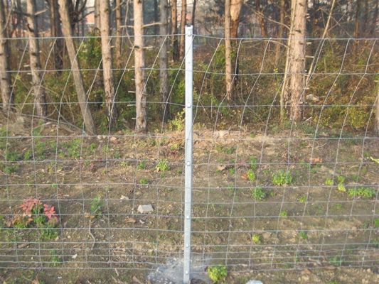 Feld-Viehbestand-Zaun Panels For Deer HGMT 1.8m