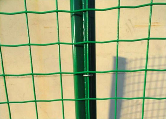 50*50mm niederländischer Mesh Welded Wire Fence Panels