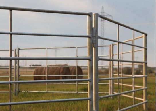 6 Schienen galvanisierter 6ft Viehbestand-Zaun Panels