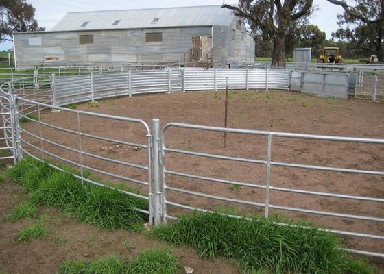 Bauernhof, der L4m-Viehbestand-Zaun Panels ineinander greift