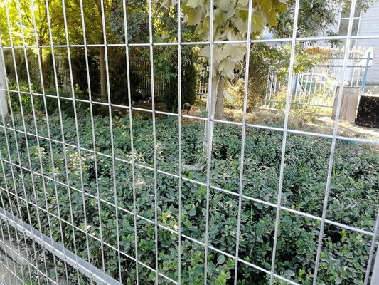 US-Marktstandard 6 x 12 ft Verzinkte temporäre Kettenverbindungszaunplatten für Baustellen