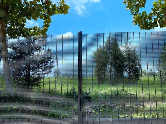 Farm Anticlimb-Zaun und Tor mit 358 geschweißter Maschenplatte