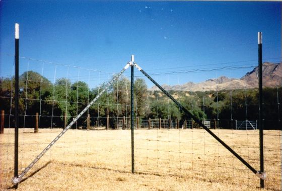 0.95lb/Ft Grün malte 6ft verzierten T Stahlposten für Bauernhof-Zaun