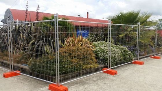 Verzinkte PVC Canada temporäre Zaunplatten Hot Sale Pool Zaun temporäre Zaun Tor für Kanada