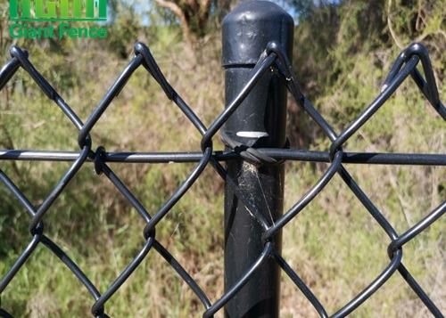 PVC beschichtete dekorativen Kettenglied-Draht Mesh Fencing des Garten-Umkreis-2mm
