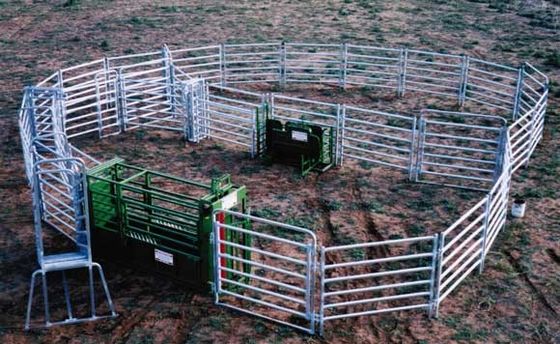 Australien-Rohr galvanisiert ringsum 1.6m hohe Stahlhürden-Platten