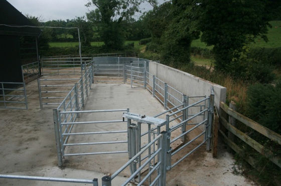 Längen-Vieh ISO 2.1m zäunt Panels For Livestock-Bauernhof ein