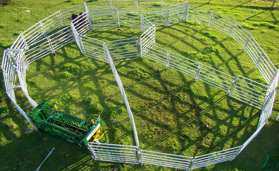 Längen-Vieh ISO 2.1m zäunt Panels For Livestock-Bauernhof ein