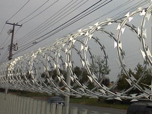 Ziehharmonika-heißes eingetaucht galvanisierte 2.5mm Sicherheits-Stacheldraht