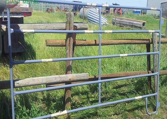 Höhen-Viehbestand-Zaun-Panels Metal Galvanized-Bauernhof-Tore der harten Beanspruchung 1.6m