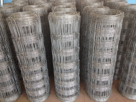 Bauernhof-Zaun-Panel Pre Galvanized-Drahtgewebe-Maschendraht Australien-Standard-0.8m